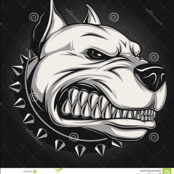 Meet your Posher, Mike - Picture 1 of 1